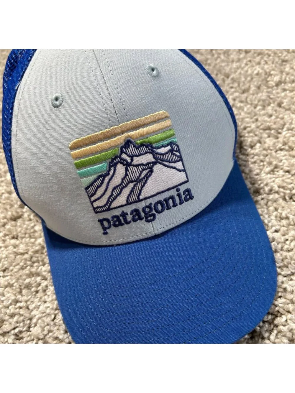 Patagonia Blue Line Logo Ridge LoPro Trucker Hat Mountain Logo Design Mesh Back